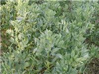 fe2f97f8-Picture 002.jpg